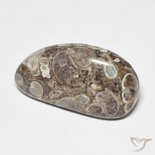 Jaspe Multicolor natural de 20.68 ct, Elegante, Opaco
