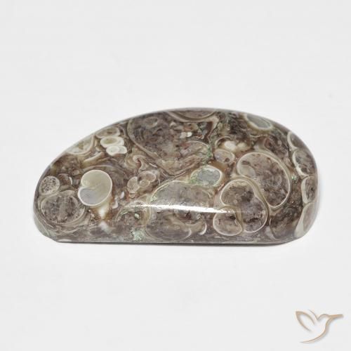 Jaspe Multicolor natural de 20.68 ct, Elegante, Opaco
