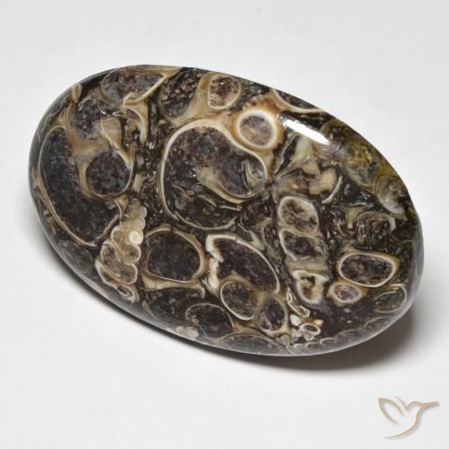 Jaspe Multicolor natural de 37.39 ct, Ovalada, Opaco