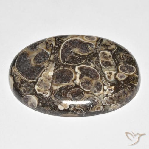 Jaspe Multicolor natural de 37.39 ct, Ovalada, Opaco