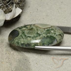 Jaspe Multicolor natural de 25.95 ct, Ovalada, Opaco