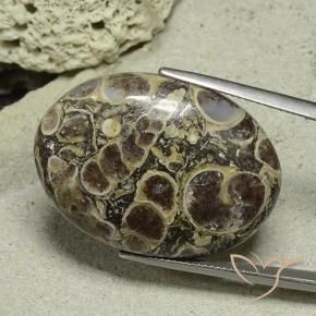 Jaspe Multicolor natural de 40.61 ct, Ovalada, Opaco