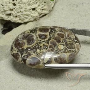 Jaspe Multicolor natural de 40.61 ct, Ovalada, Opaco