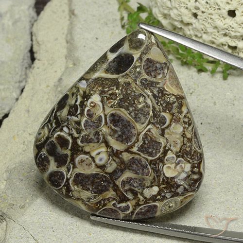 46.19ct Natural Multicolor Jaspe, En forma de pera, Opaco