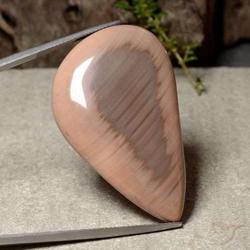 Jaspe Multicolor natural de 52.12 ct, Elegante, Opaco