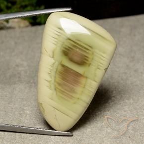 Jaspe Multicolor natural de 31.54 ct, Elegante, Opaco