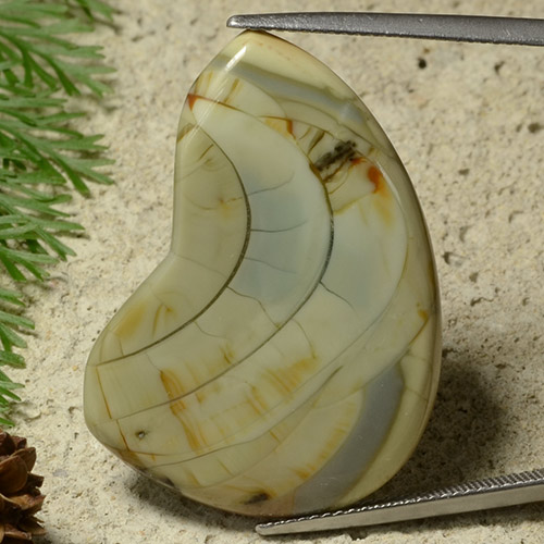 Jaspe Multicolor natural de 25.50 ct, Forma elegante, Opaco