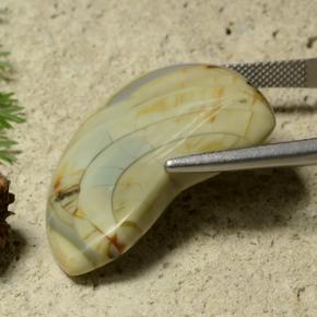 Jaspe Multicolor natural de 25.50 ct, Forma elegante, Opaco