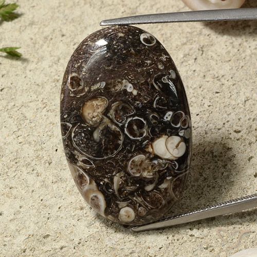 31.54ct Natural Multicolor Jaspe, Ovalada, Opaco
