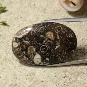 Jaspe Multicolor natural de 31.54 ct, Ovalada, Opaco