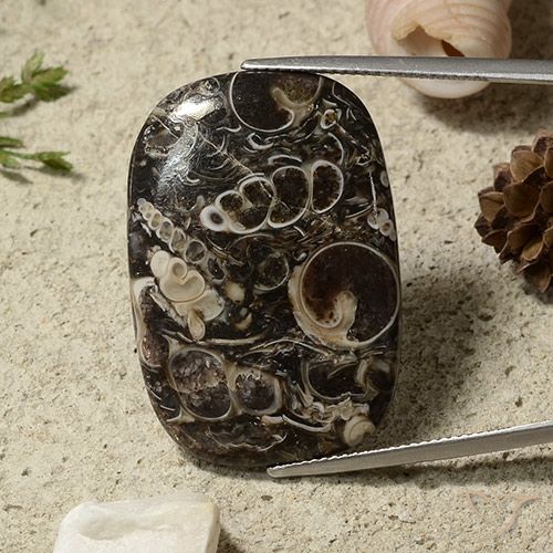 35.69ct Natural Multicolor Jaspe, Forma Cojín, Opaco