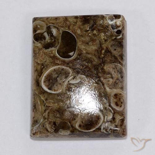 Jaspe Multicolor natural de 18.34 ct, Corte Baguette, Opaco
