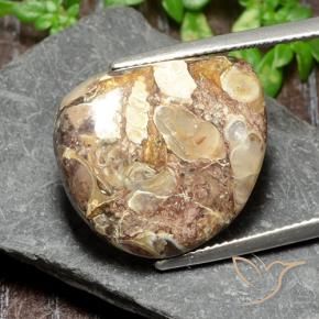 Jaspe Multicolor natural de 17.47 ct, Elegante, Opaco