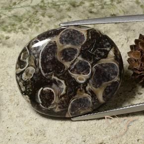 Jaspe Multicolor natural de 28.37 ct, Ovalada, Opaco