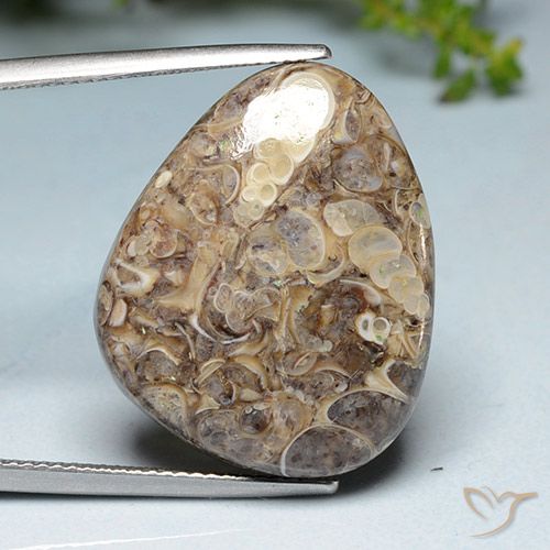 20.52ct Natural Multicolor Jaspe, Elegante, Opaco