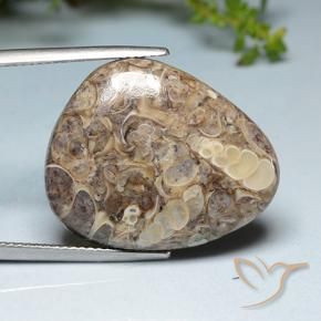 Jaspe Multicolor natural de 20.52 ct, Elegante, Opaco