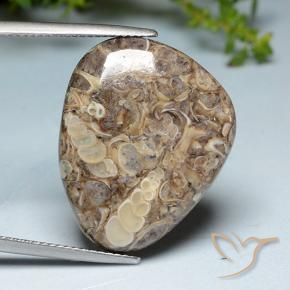 Jaspe Multicolor natural de 20.52 ct, Elegante, Opaco
