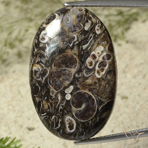 28.41ct Natural Multicolor Jaspe, Ovalada, Opaco