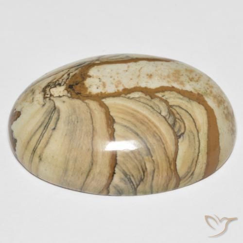 Jaspe Multicolor natural de 51.06 ct, Ovalada, Opaco