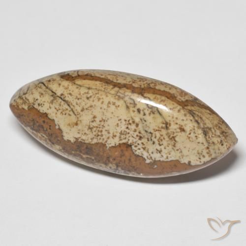 Jaspe Multicolor natural de 29.48 ct, Marquesa, Opaco