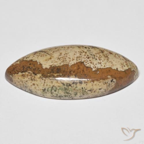 Jaspe Multicolor natural de 29.48 ct, Marquesa, Opaco