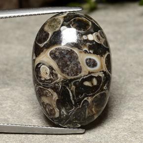 Jaspe multicolor natural de 22,57 ct, corte óvalo, opaco