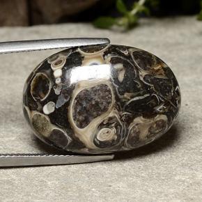 Jaspe multicolor natural de 22,57 ct, corte óvalo, opaco
