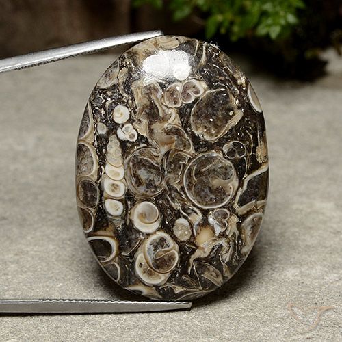 39.98ct Natural Multicolor Jaspe, Ovalada, Opaco