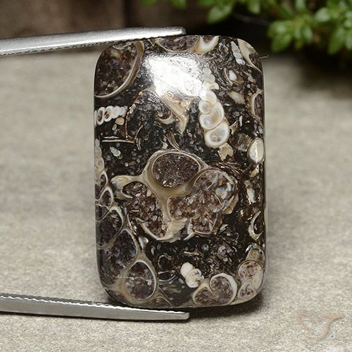 32.91ct Natural Multicolor Jaspe, Forma Cojín, Opaco