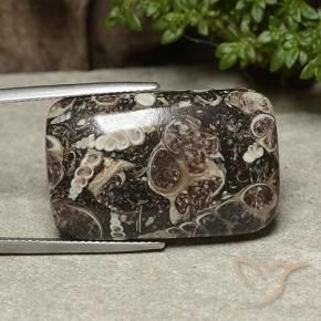 Jaspe Multicolor natural de 32.91 ct, Forma Cojín, Opaco
