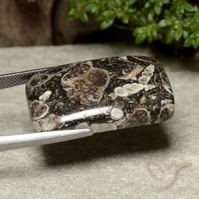Jaspe Multicolor natural de 32.91 ct, Forma Cojín, Opaco
