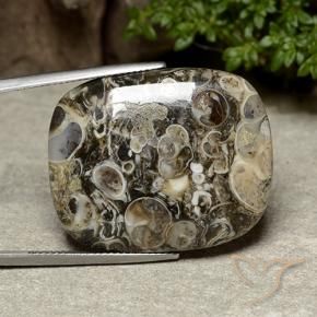 Jaspe Multicolor natural de 38.76 ct, Forma Cojín, Opaco