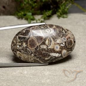 Jaspe Multicolor natural de 39.13 ct, Ovalada, Opaco