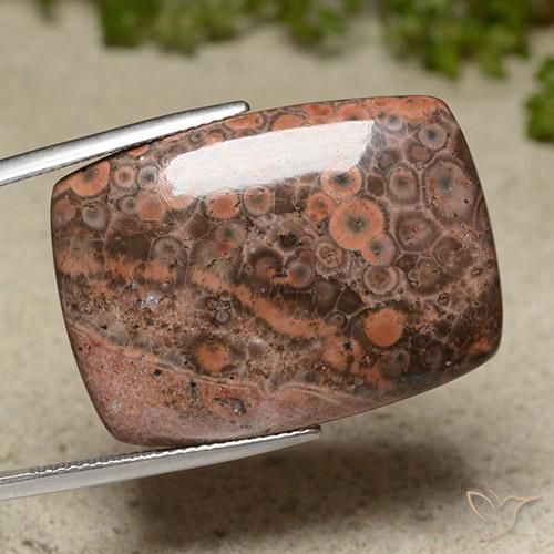 Jaspe Multicolor natural de 31.13 ct, Forma Cojín, Opaco