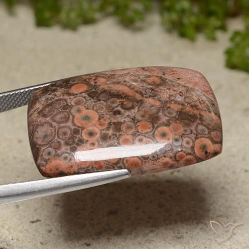Jaspe Multicolor natural de 31.13 ct, Forma Cojín, Opaco