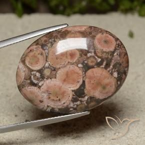 Jaspe Multicolor natural de 28.24 ct, Ovalada, Opaco