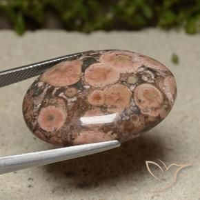 Jaspe Multicolor natural de 28.24 ct, Ovalada, Opaco