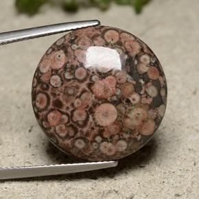 Jaspe multicolor natural de 16,37 ct, corte redondo, opaco