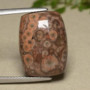 Jaspe multicolor natural de 11,81 ct, corte cojín, opaco