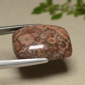 Jaspe multicolor natural de 11,81 ct, corte cojín, opaco
