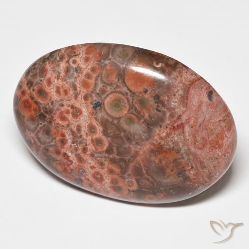 Jaspe Multicolor natural de 25.58 ct, Ovalada, Opaco