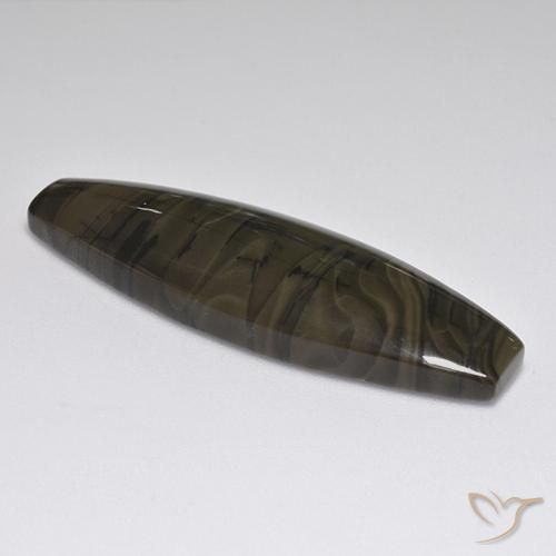 Jaspe Marrón oscuro natural de 22.30 ct, Elegante, Opaco