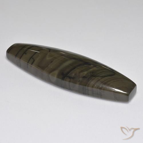 Jaspe Marrón chocolate oscuro natural de 25.05 ct, Elegante, Opaco