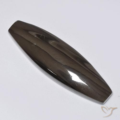 Jaspe Marrón oscuro natural de 22.16 ct, Elegante, Opaco