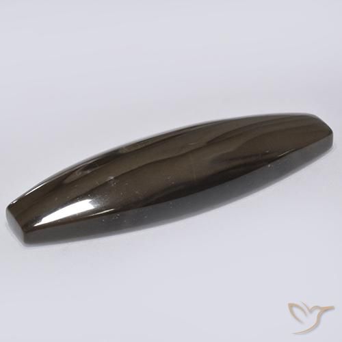 Jaspe Marrón oscuro natural de 22.16 ct, Elegante, Opaco