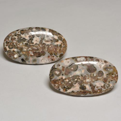 Gemas de Jaspe Multicolor natural de 24.09 ct, Corte Óvalo, Opaco