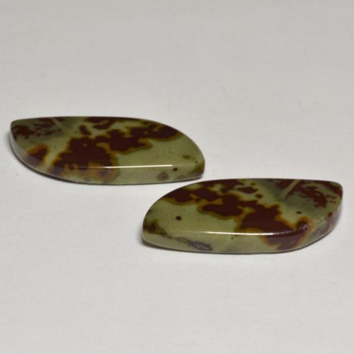 Gemas de jaspe multicolor natural de 16,50 ct, forma elegante, opaco