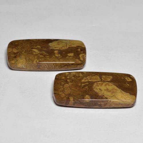 Gemas de Jaspe Multicolor natural de 26.16 ct, Corte Cojín, Opaco