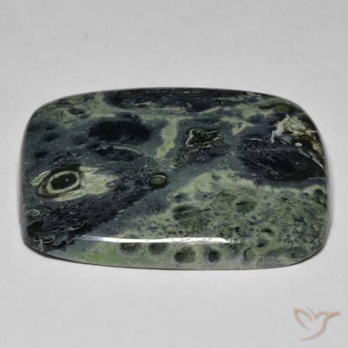 Jaspe Multicolor natural de 35.95 ct, Forma Cojín, Opaco