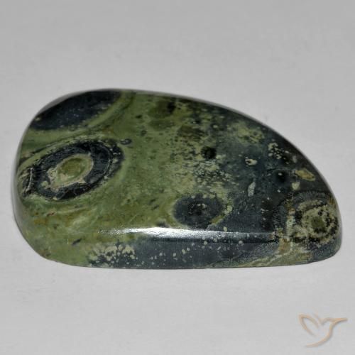 Jaspe Multicolor natural de 42.95 ct, Elegante, Opaco
